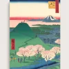 Hanami