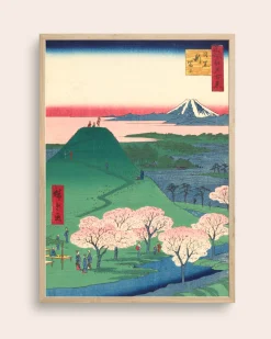 Hanami