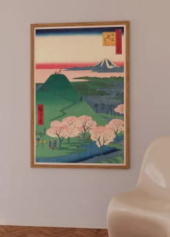 Hanami