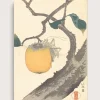 Kaki