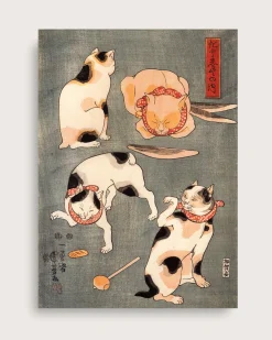 Neko